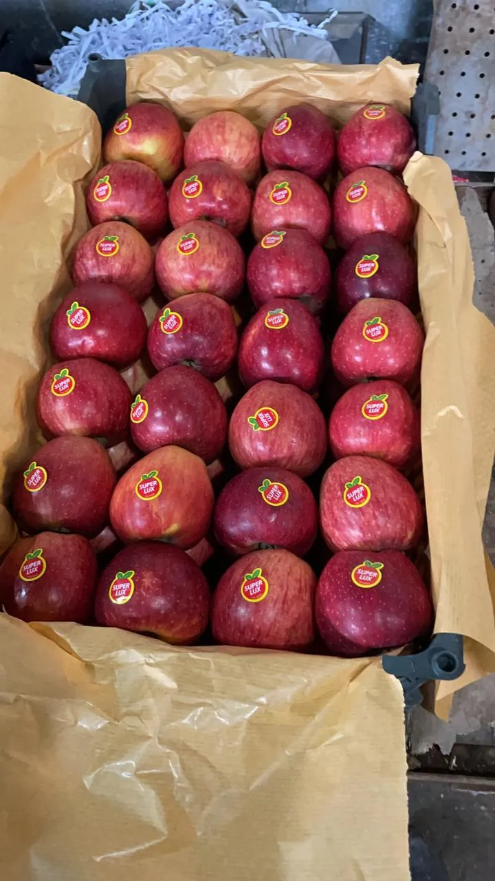 свежие яблоки в Махачкале и Республике Дагестан 2
